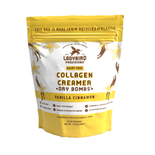 Load image into Gallery viewer, Vanilla Cinnamon Dry Bombs, 9.8 oz